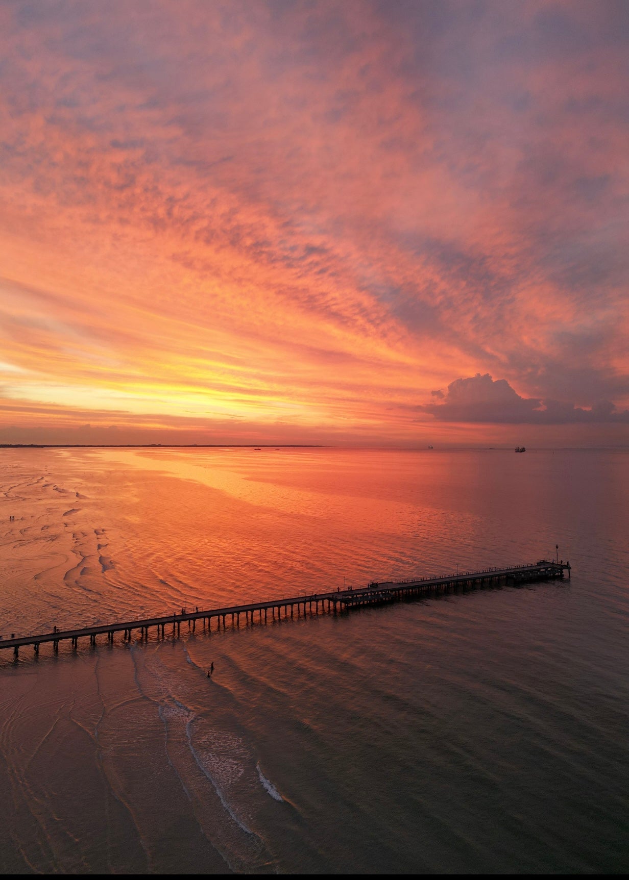 Sailors Delight , Rosebud - Print
