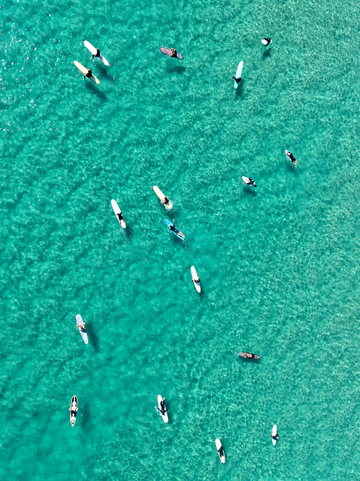 Surf Sesh - Print