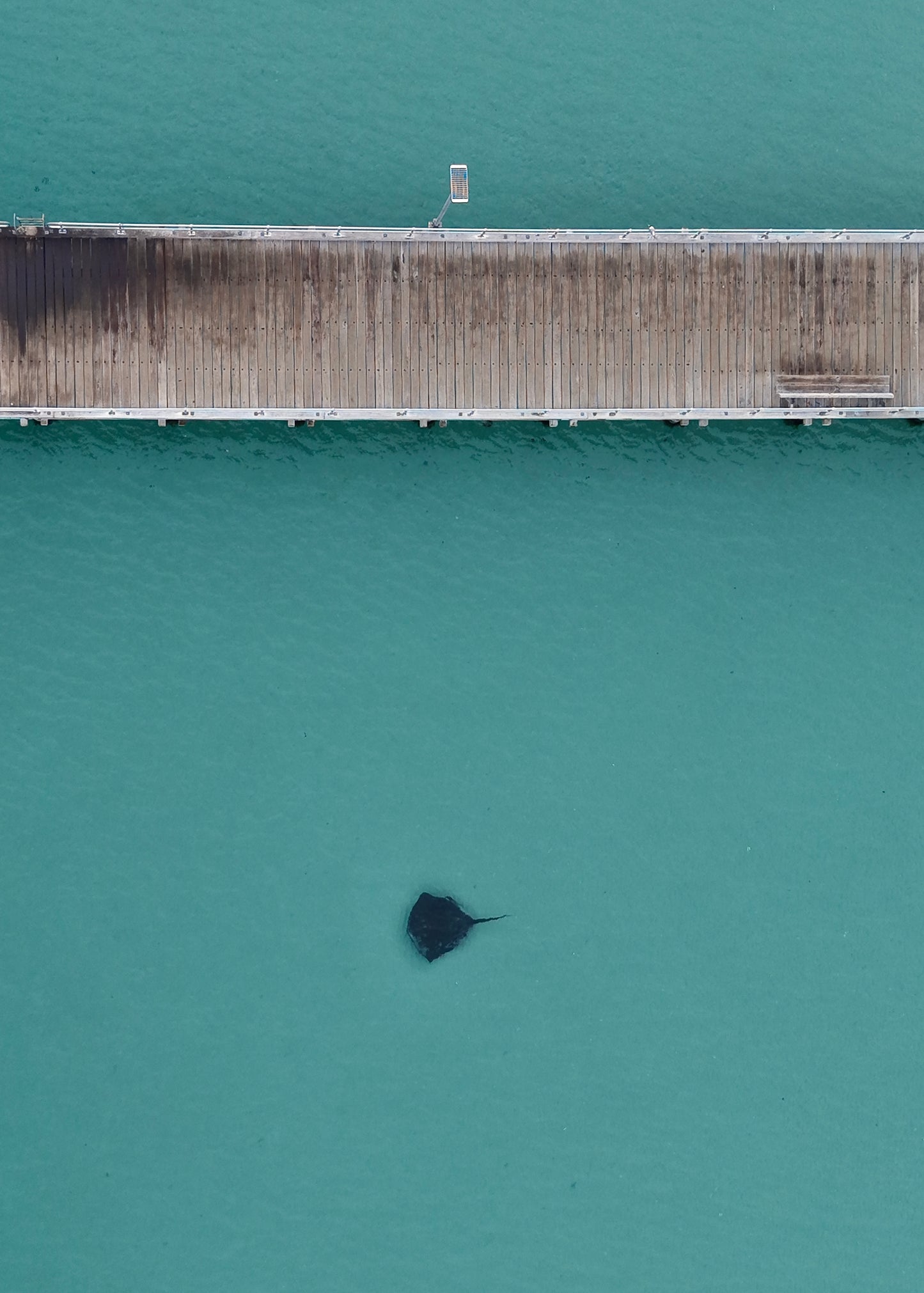 Stingray at Rye Pier - Print